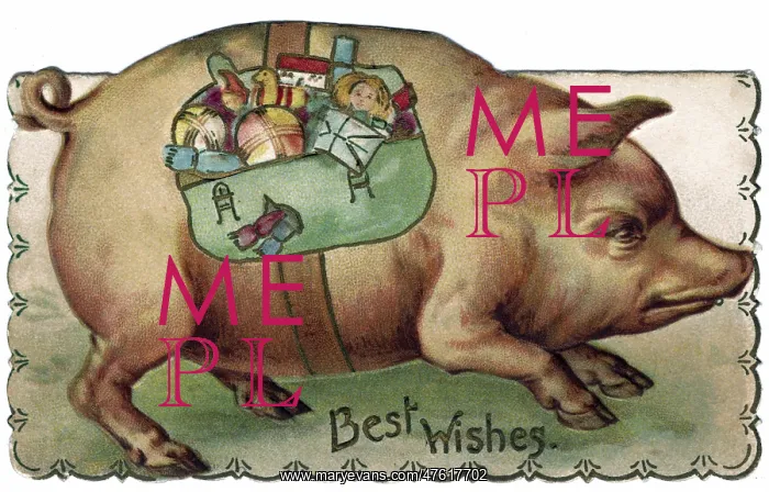 : Pig with toys strapped to its side : Pig with toys strapped to its side