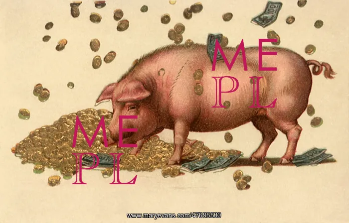  : Pig Wallowing in Cash