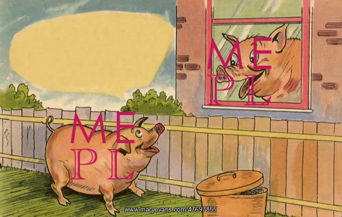 : Pig at Window : Pig at Window