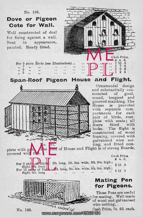 : Pigeon cotes : Pigeon cotes