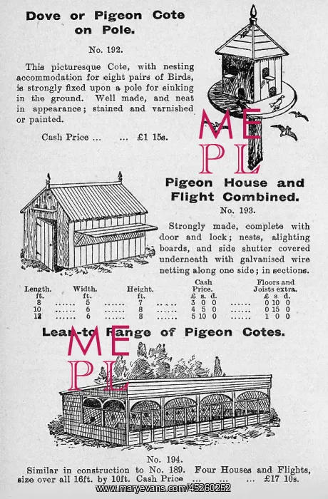 : Pigeon cotes : Pigeon cotes