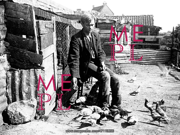  : Pigeon fancier