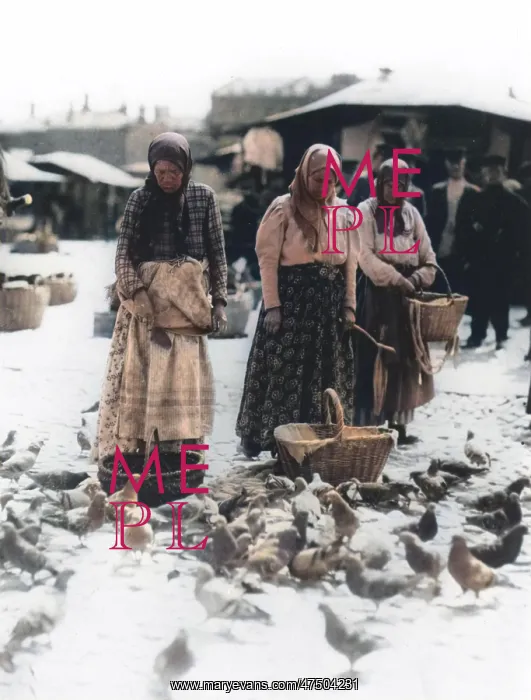 : Pigeon Feeding - Moscow : Pigeon Feeding - Moscow