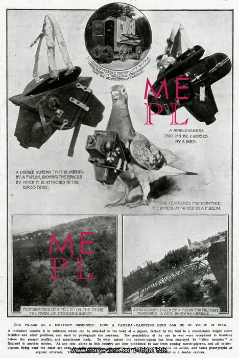 : Pigeon as Military observer 1914 : Pigeon as Military observer 1914