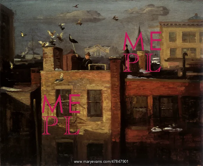  : Pigeons