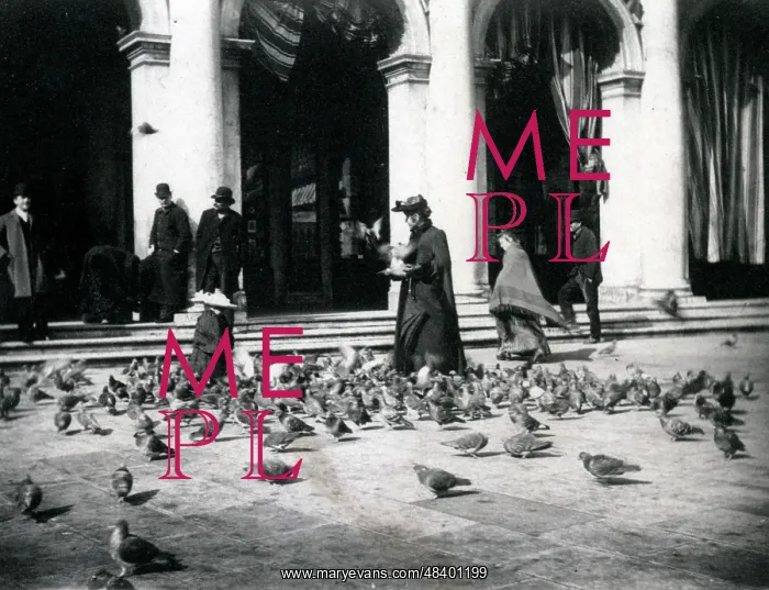  : Pigeons in St Mark's Square, Venice, Italy