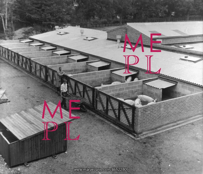  : PIGGERY, NORWICH