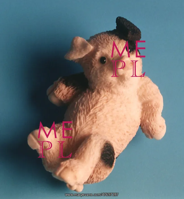  : Piglet on Its Back