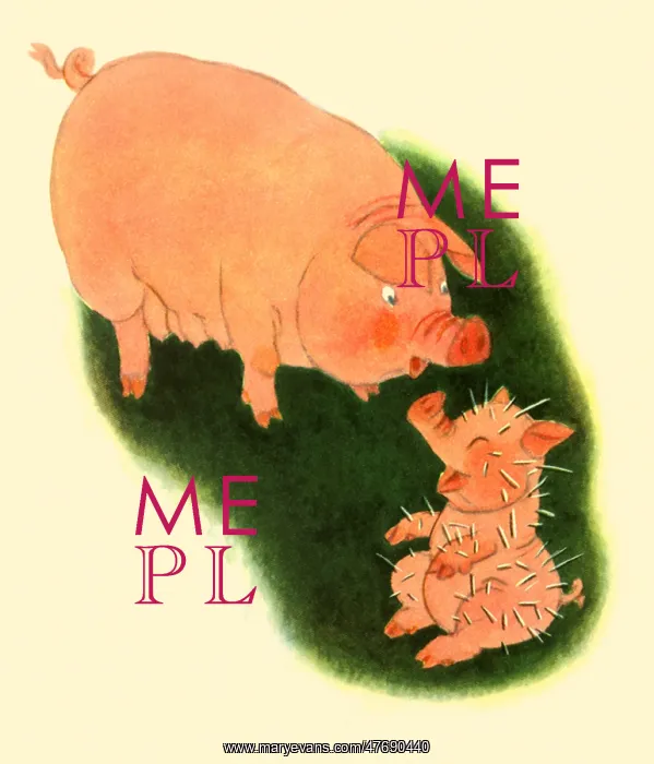  : Piglet after a Porcupine Experience