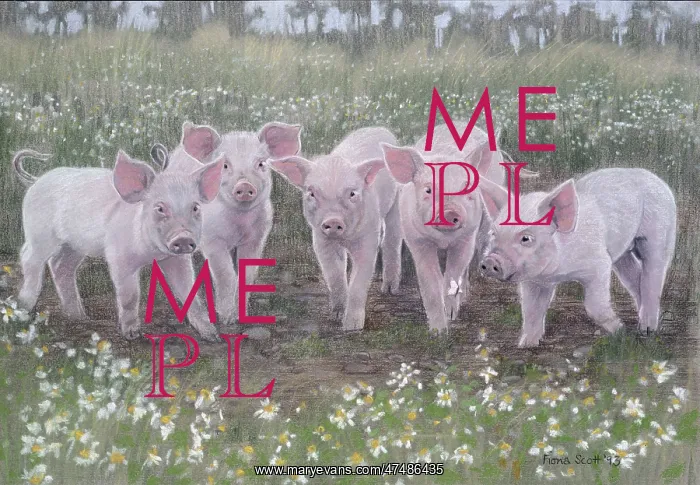  : Five Piglets