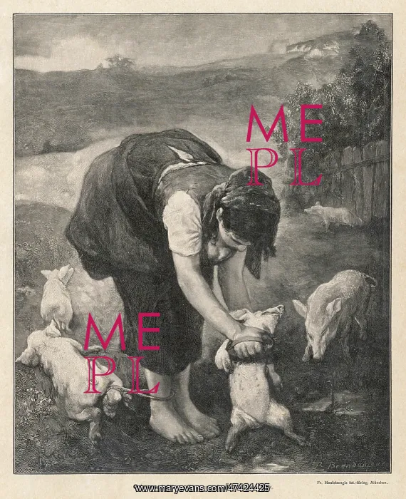: PIGS BATHDAY : PIGS BATHDAY