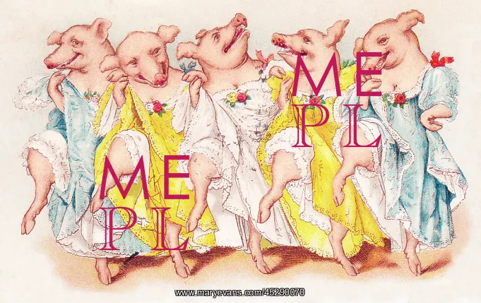 : Five pigs dancing the cancan on a French postcard : Five pigs dancing the cancan on a French postcard