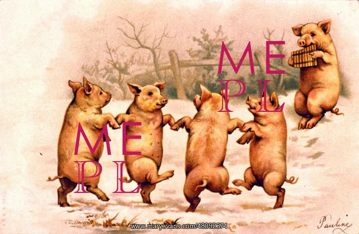 : Pigs dancing in the snow : Pigs dancing in the snow