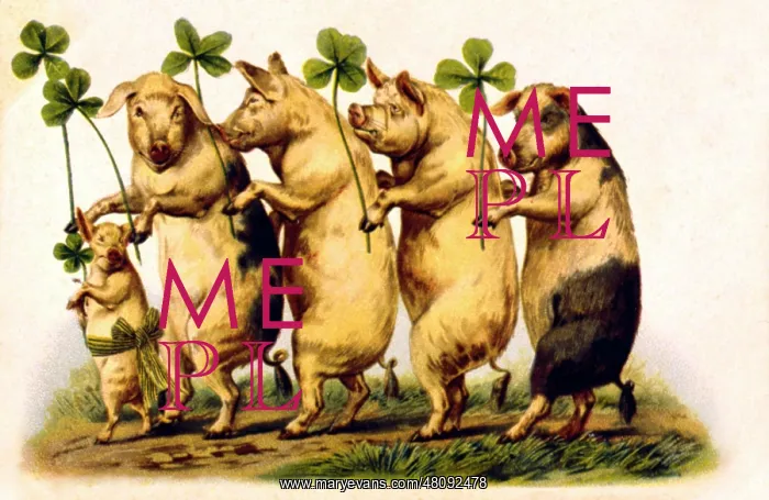 : Pigs with four-leafed clover : Pigs with four-leafed clover