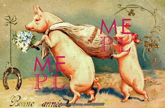  : Two pigs on a French New Year postcard