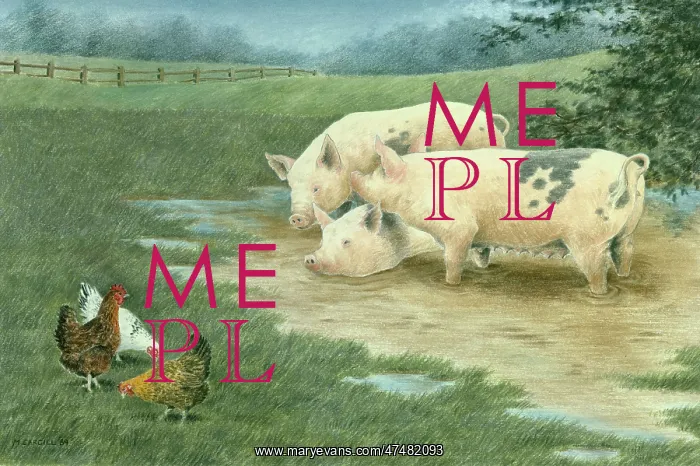 : Three Pigs and Three Hens : Three Pigs and Three Hens