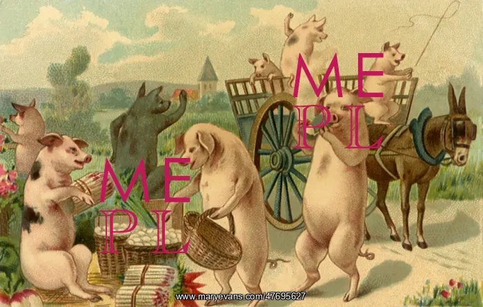  : Pigs at Market