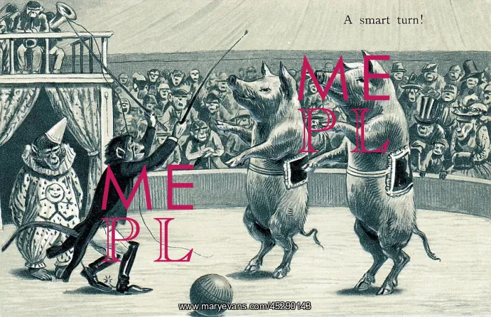  : Pigs and monkeys in a circus on a postcard