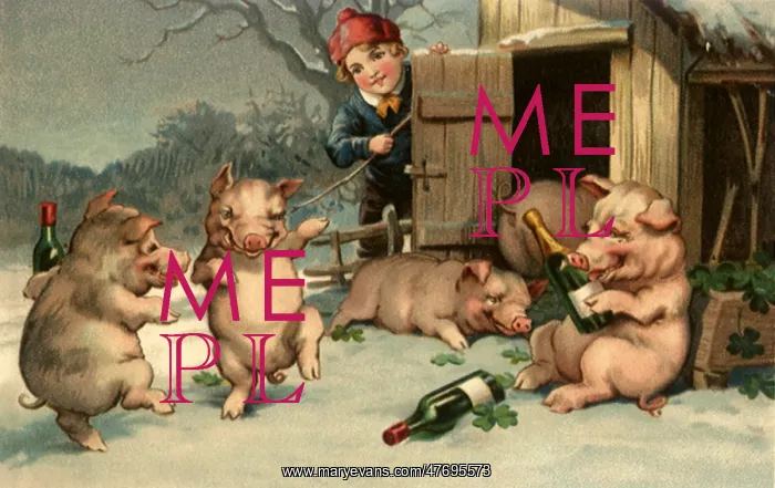 : Pigs on New Year's : Pigs on New Year's