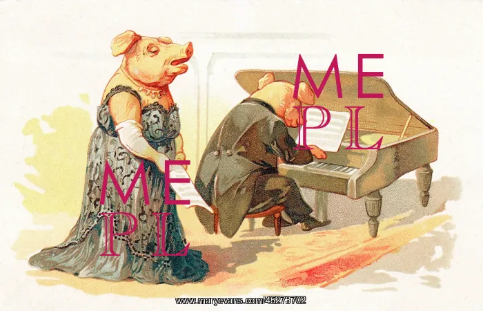 : Two pigs performing in a concert : Two pigs performing in a concert