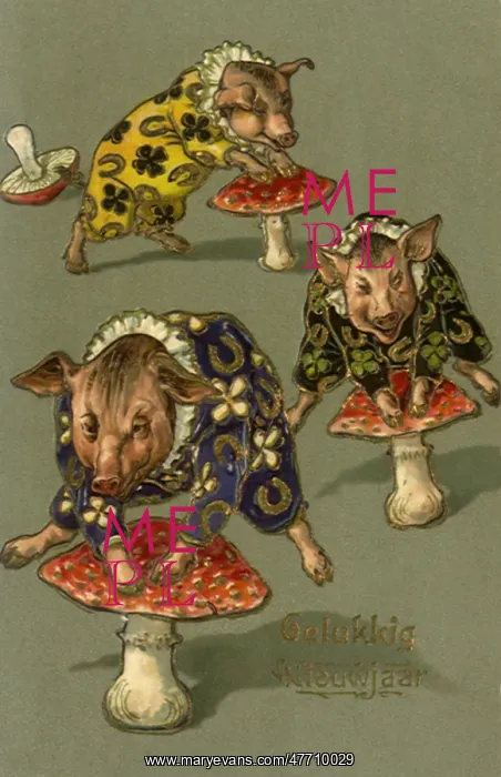 : Pigs Playing Leapfrog : Pigs Playing Leapfrog
