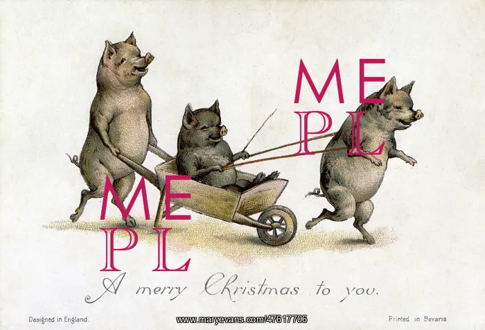 : Pigs playing with a wheelbarrow : Pigs playing with a wheelbarrow