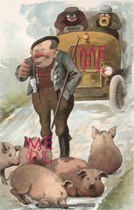  : Pigs in the Road