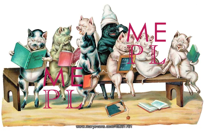 : Pigs sitting on a school bench on a Victorian scrap : Pigs sitting on a school bench on a Victorian scrap