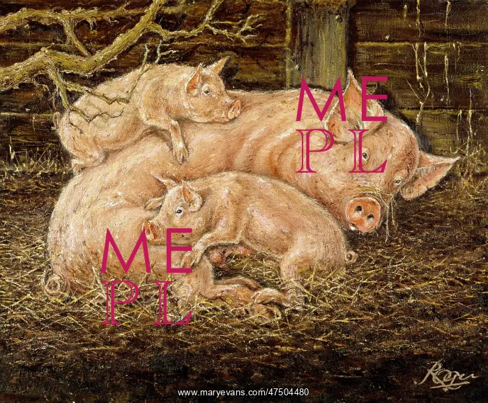 : Pigs ' sow with two piglets : Pigs ' sow with two piglets