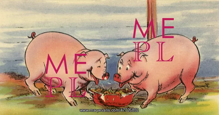  : Two Pigs and Swill
