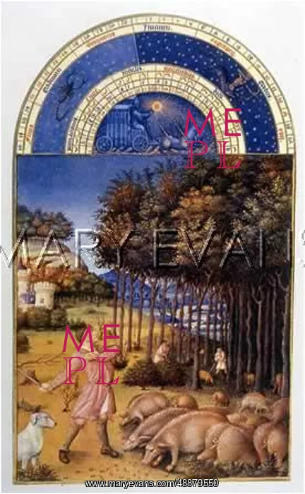 : PIGS & SWINEHERD 15C : PIGS & SWINEHERD 15C