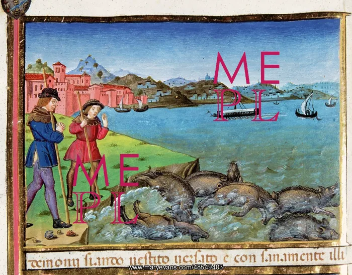 : Pigs are thrown into the sea and drown. Codex of Predis (147 : Pigs are thrown into the sea and drown. Codex of Predis (147