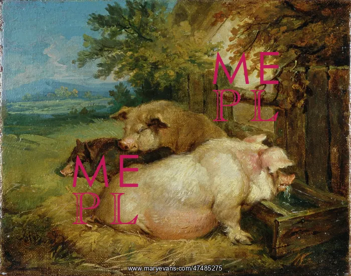 : Pigs by a Trough : Pigs by a Trough