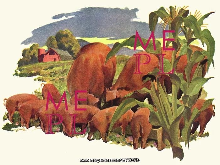  : Pigs at the Trough