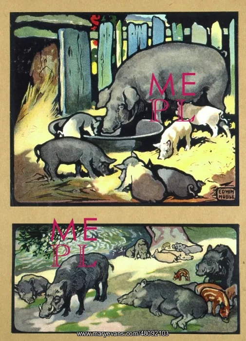  : Pigs and wild boars