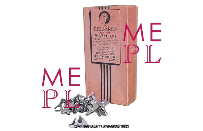 : Pikgards Poultry Picking preventer : Pikgards Poultry Picking preventer