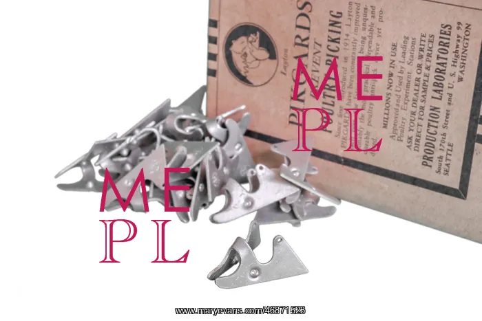 : Pikguard Poultry Picking preventer : Pikguard Poultry Picking preventer