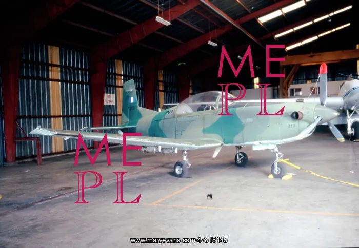 : Pilatus PC-7 219 : Pilatus PC-7 219