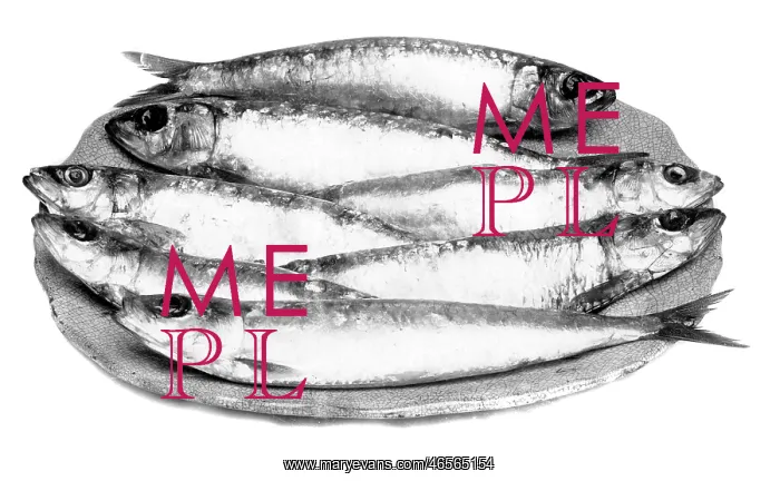 : Pilchards Seven a Penny 1912