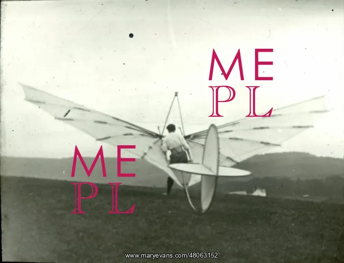  : Pilcher Bat