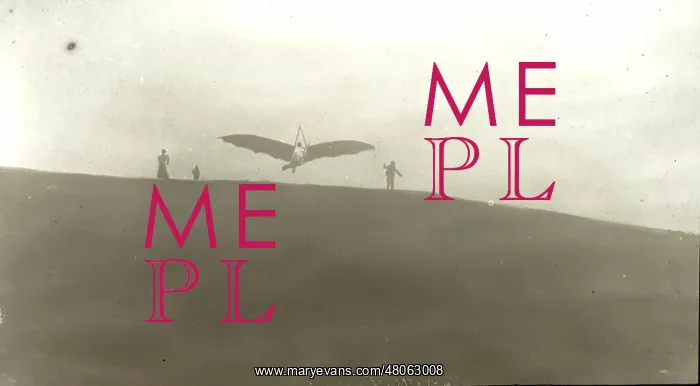 : Pilcher Bat in the air : Pilcher Bat in the air
