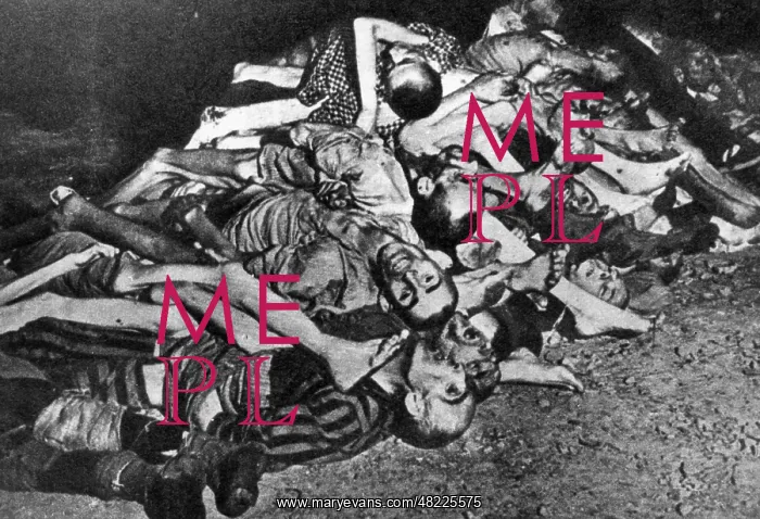: Pile of corpses of prisoners in a concentration camp : Pile of corpses of prisoners in a concentration camp