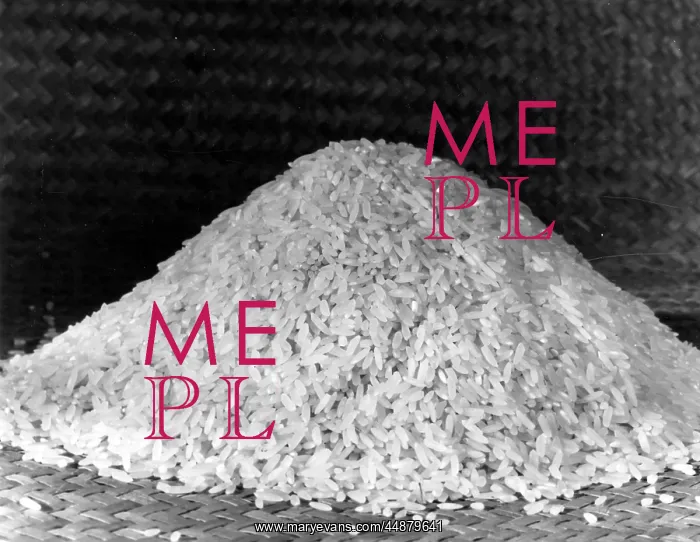  : A PILE OF RICE