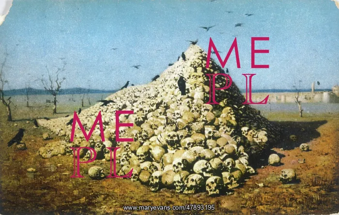 : PILE OF SKULLS PHOTO : PILE OF SKULLS PHOTO