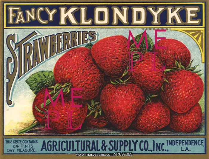  : Pile of Strawberries