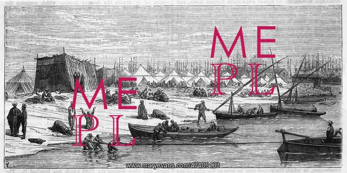 : PILGRIM CAMP : PILGRIM CAMP
