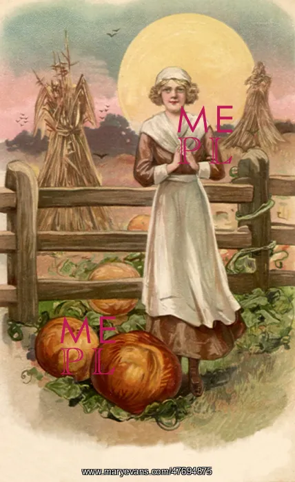  : Pilgrim and Pumpkins
