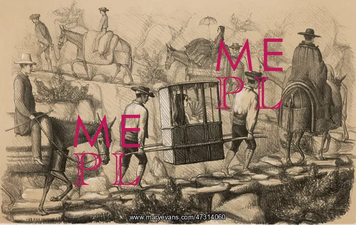 : Pilgrim in Sedan Chair : Pilgrim in Sedan Chair