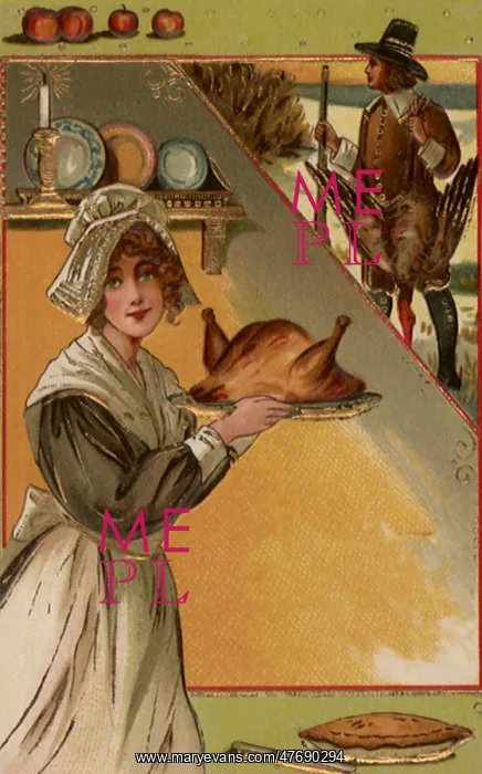 : Pilgrim and Turkey : Pilgrim and Turkey
