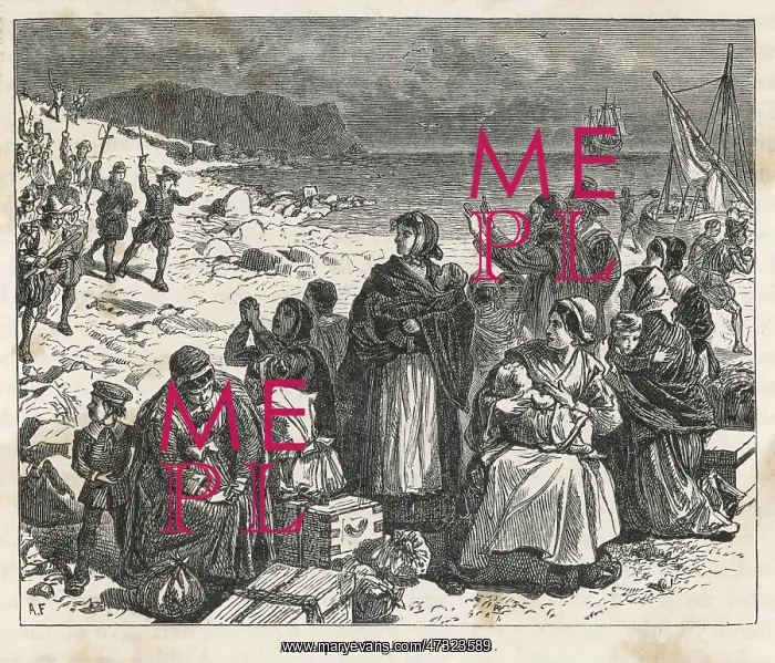 : PILGRIMS IN HOLLAND : PILGRIMS IN HOLLAND